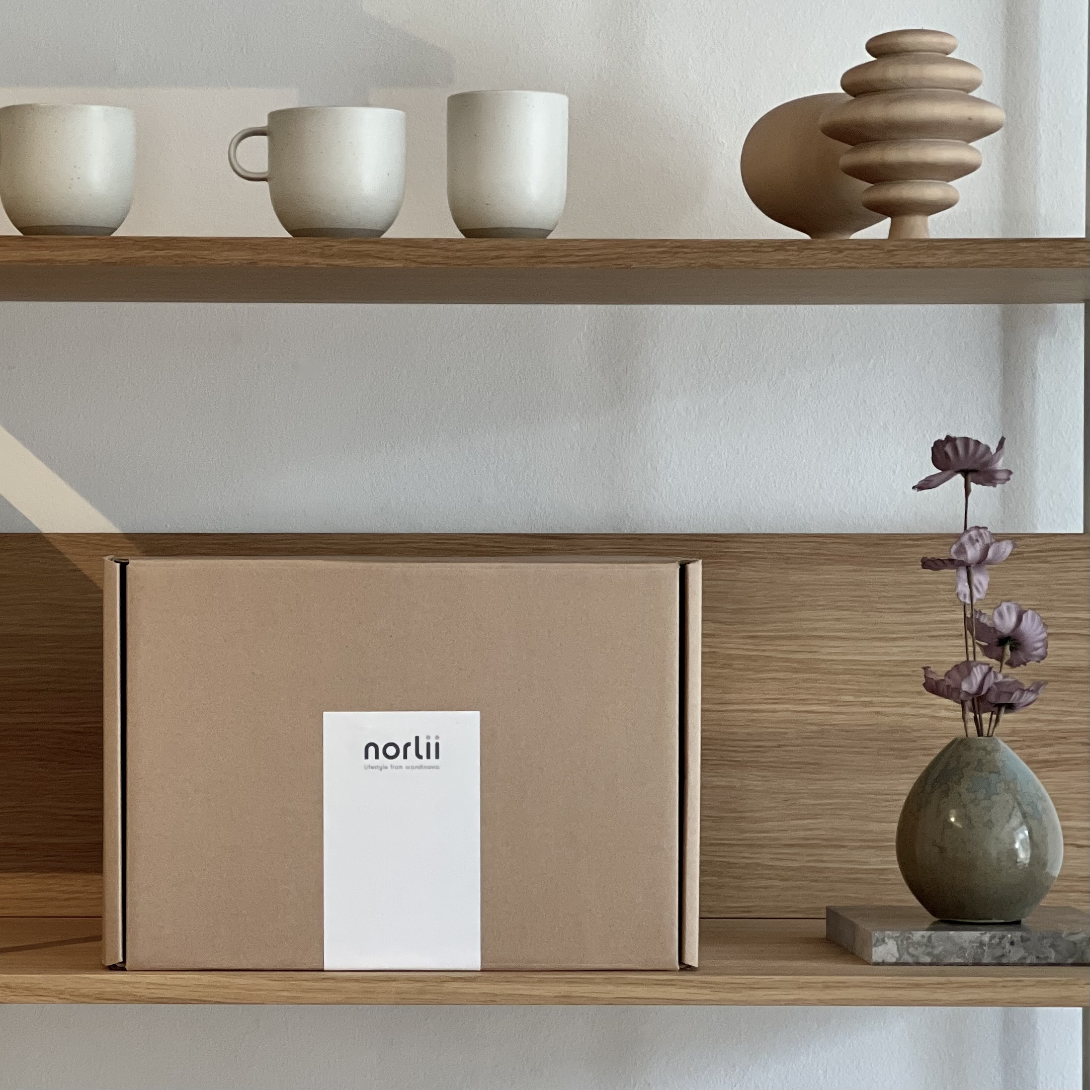 Norlii Box Spring 2026 Full Spoilers!