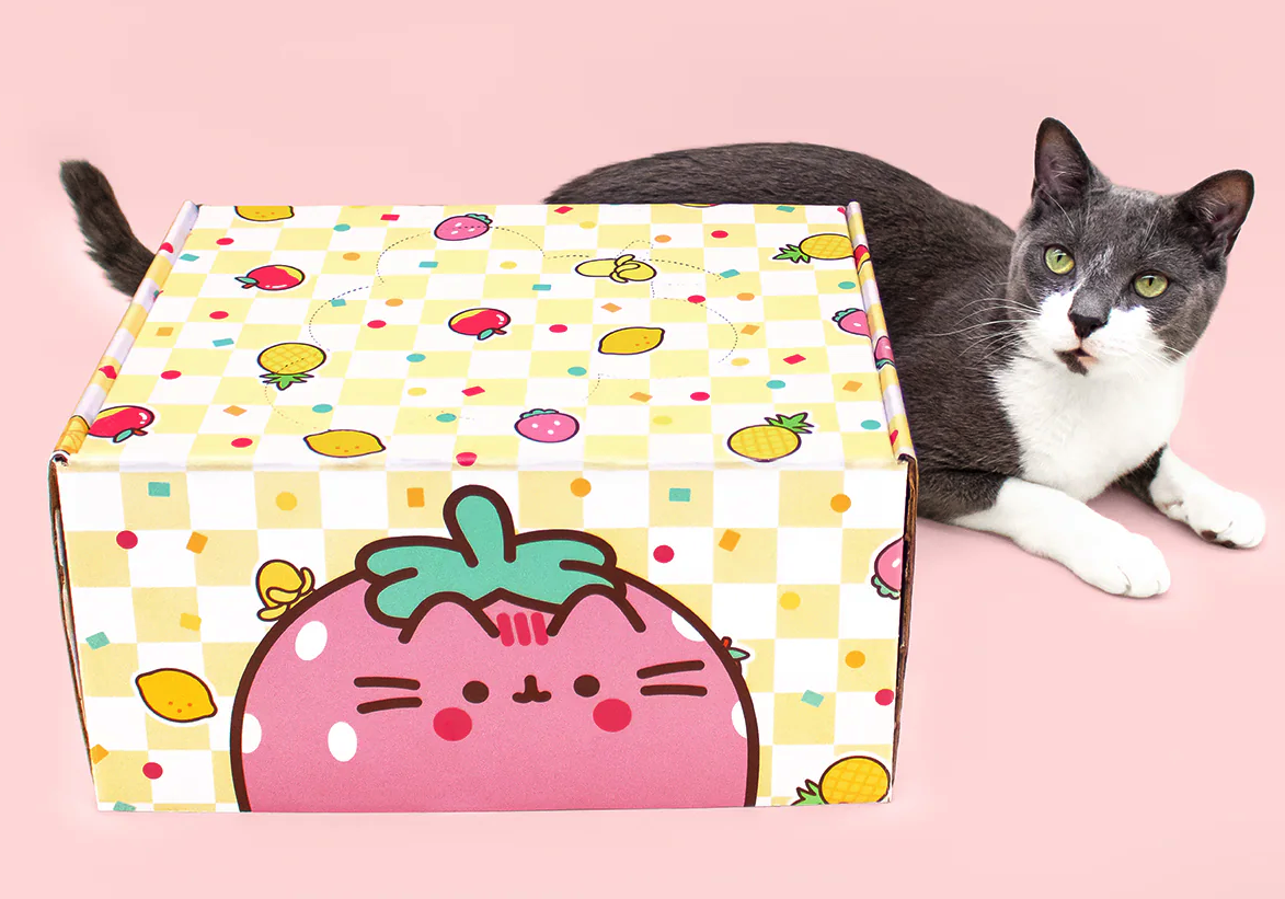 Cat Kit by Pusheen Box Summer 2024 Full Spoilers!
