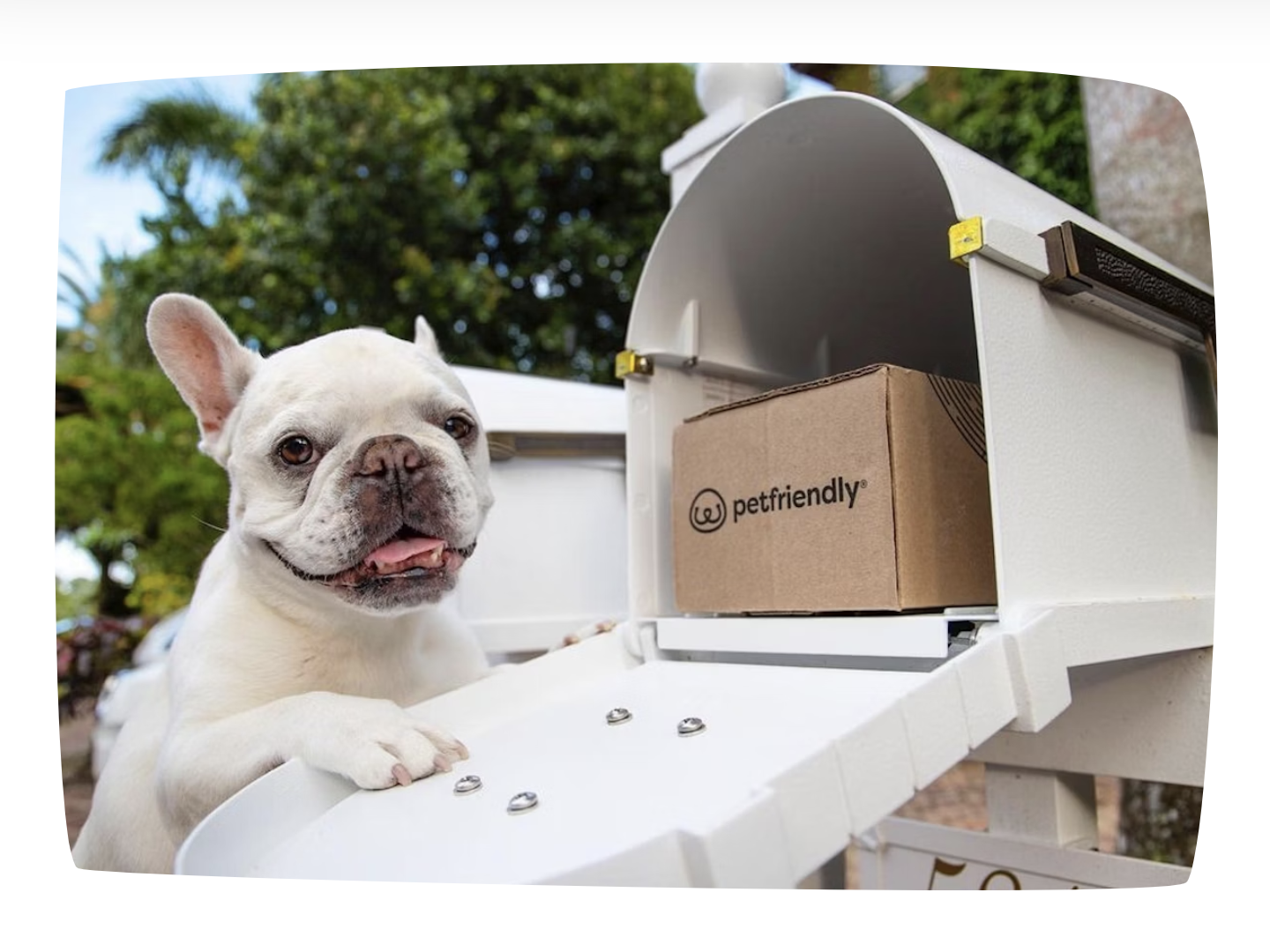 Hello Pupscription: PetFriendly’s Tailored Pet Care and Bonus Treats Delivered Monthly!