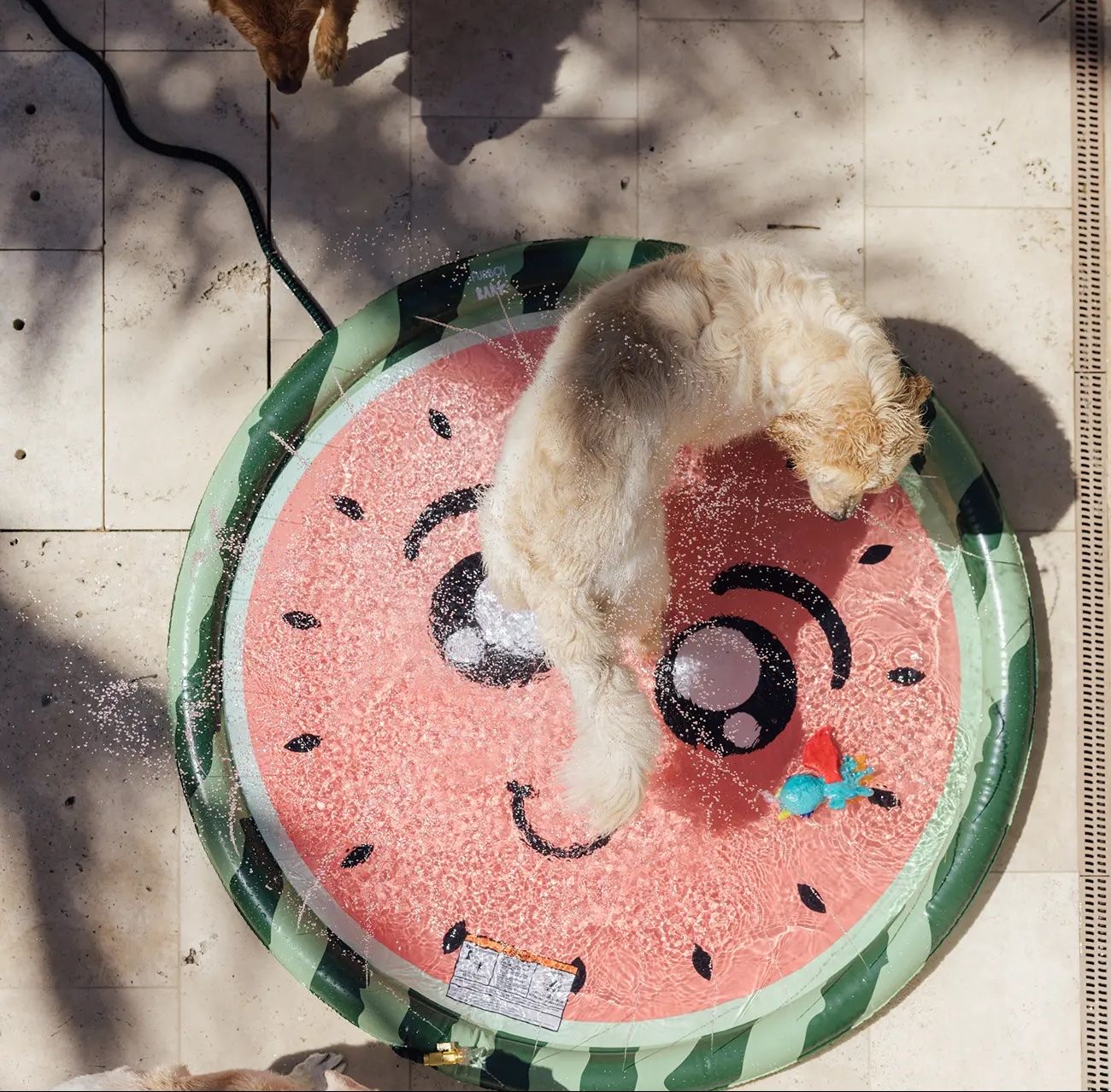 BarkBox x Funboy Dog Splash Pad: The Ultimate Summer Toy for Your