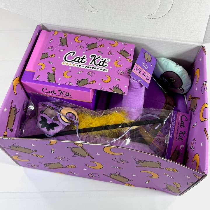 Cat Kit by Pusheen Box Fall 2024 Review: Mystical Meowgic - Hello