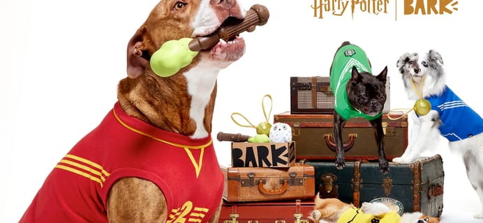 Super Chewer Coupon – FREE Quidditch™ Dog Jersey + Limited Edition Harry Potter Box!