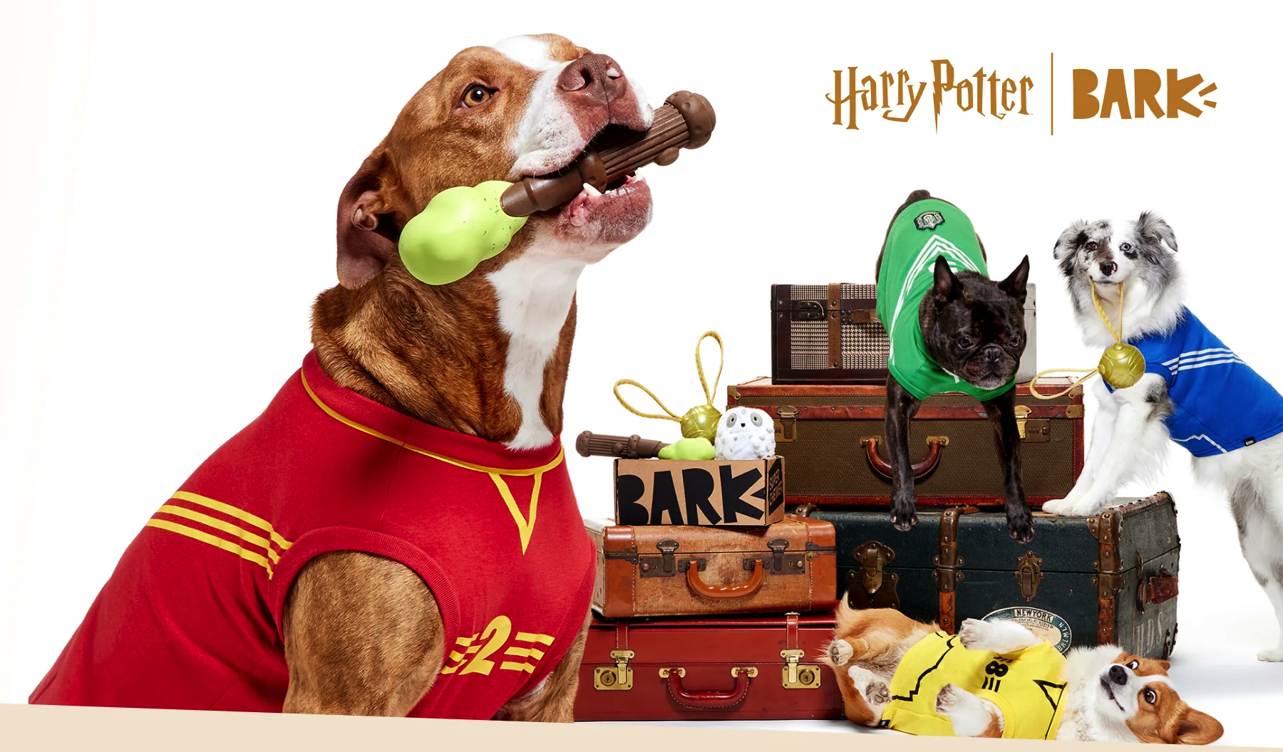 Super Chewer Coupon – FREE Quidditch™ Dog Jersey + Limited Edition Harry Potter Box!