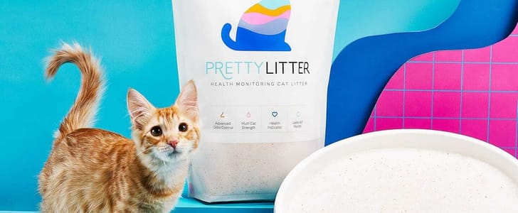 PrettyLitter Coupon – Get 20% Off On Hea