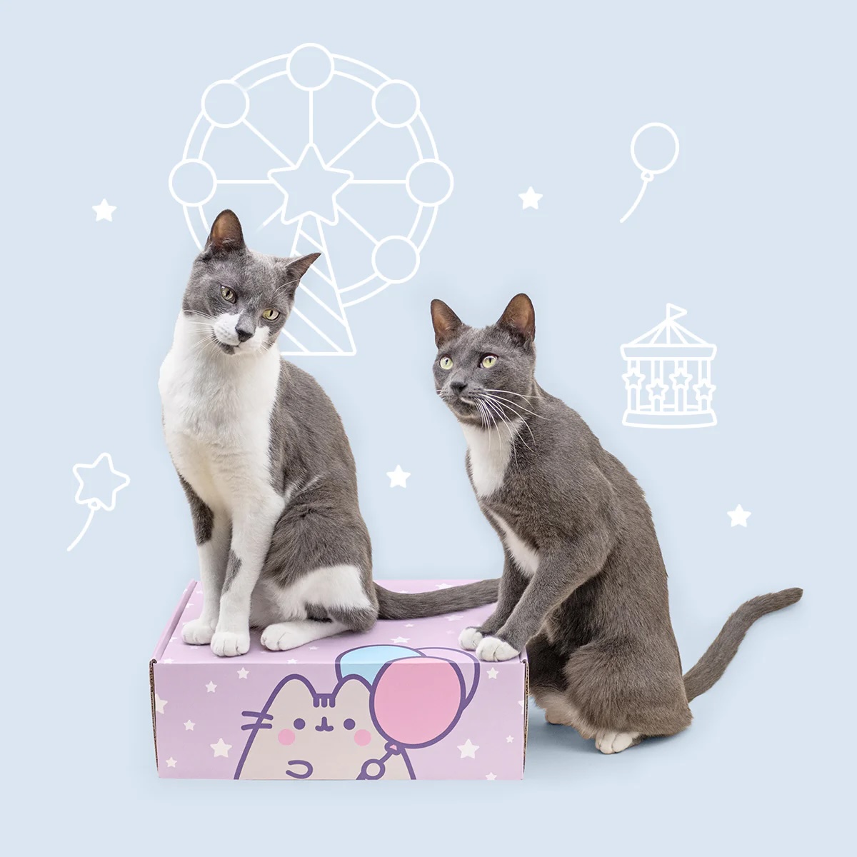 Cat Kit by Pusheen Box Spring 2025 Full Spoilers!