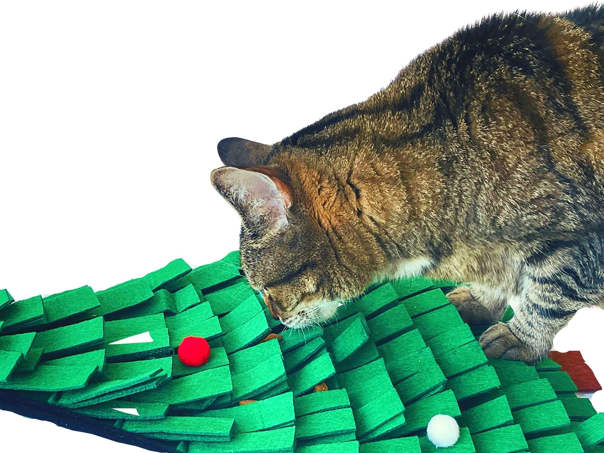 BoxCat Deal: FREE Tree Foraging Mat With First Box of Cat Toys and Treats!