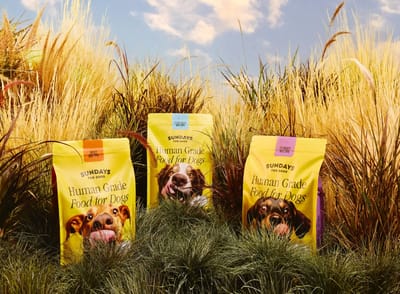 Why Choose Sundays For Dogs? 5 Pawsome Reasons to Switch to Human-Grade Dog Food