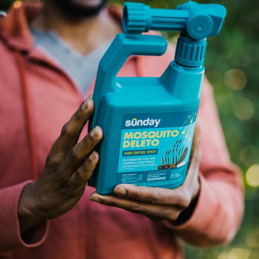 Sunday Smart Pest Plan – Targeted Pest and Insect Treatment Designed for Your Home