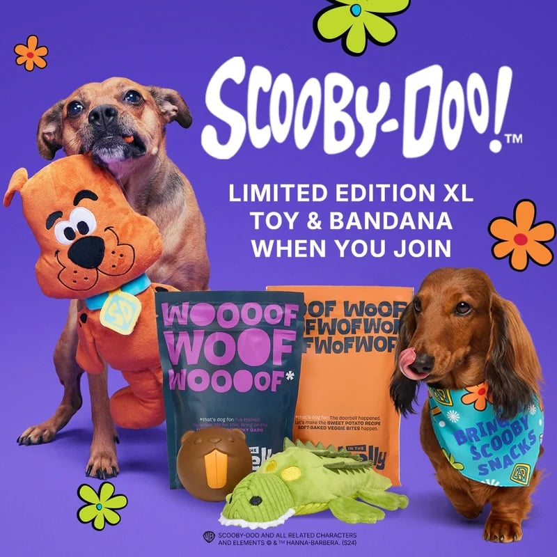 BarkBox & Super Chewer Coupon – FREE Scooby Doo Bundle With First Box of Toys and Treats for Dogs!
