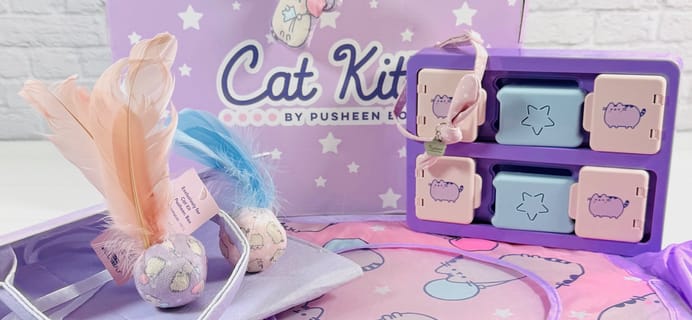 Cat Kit by Pusheen Box Spring 2025 Review: 15th Anniversary!