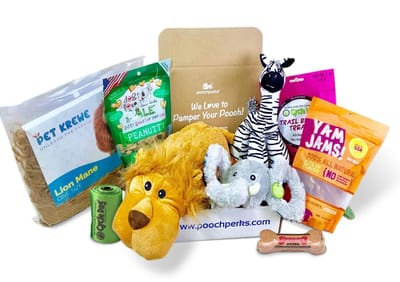 Pooch Perks Coupon – 10% Off First Box of Dog Treats and Toys!