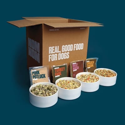 Nom Nom Coupon: 50% Off First Box Freshly Made Dog Food!