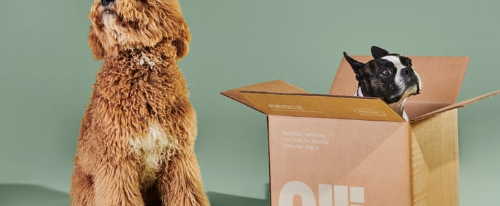Fresh All-Natural Dog Food Subscription 