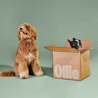Fresh All-Natural Dog Food Subscription With Ollie – 50% Off Starter Box Coupon!