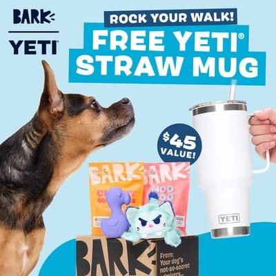 BarkBox & Super Chewer Deal – FREE Yeti Rambler Straw Mug With First Box of Toys and Treats for Dogs!