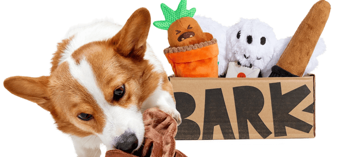 BarkBox Coupon – FREE Sorting Hat Toy + Limited Edition Harry Potter Box!