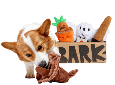 BarkBox Coupon – FREE Sorting Hat Toy + Limited Edition Harry Potter Box!