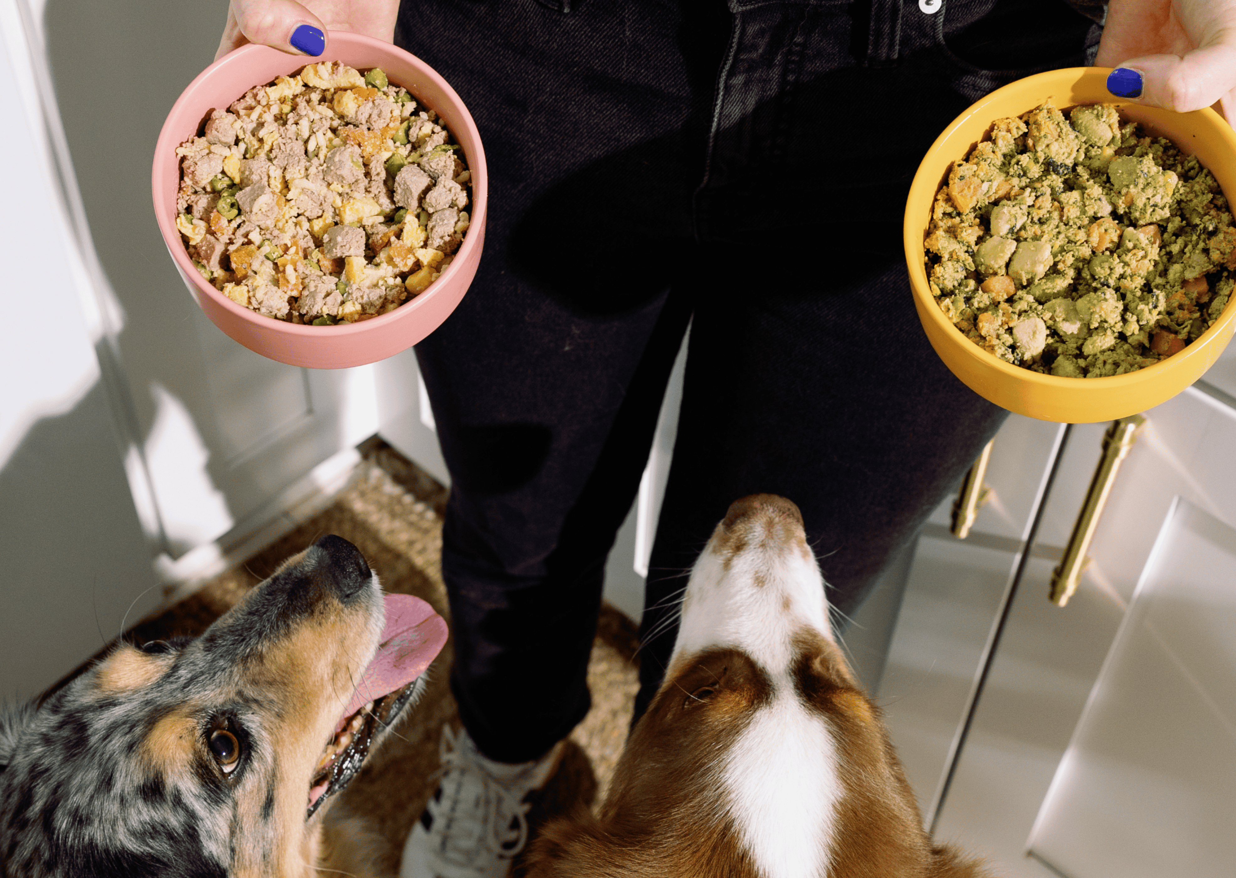 Nom Nom’s Fresh New Recipes: Lamb Pilaf, Turkey & Chicken Cookout Plus Delicious New Treats