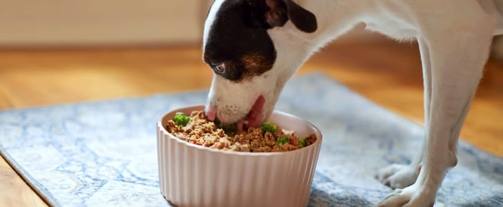 PetPlate Coupon – 60% Off Your First Box