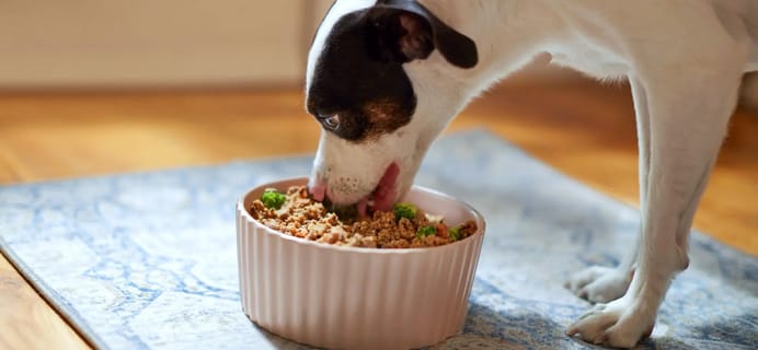 PetPlate Coupon – 60% Off Your First Box of Fresh Dog Food!