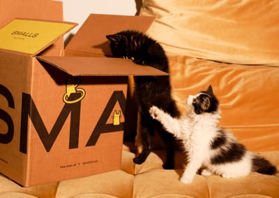 6 Game-Changing Reasons Why Cat Owners Are Switching to Smalls Cat Food