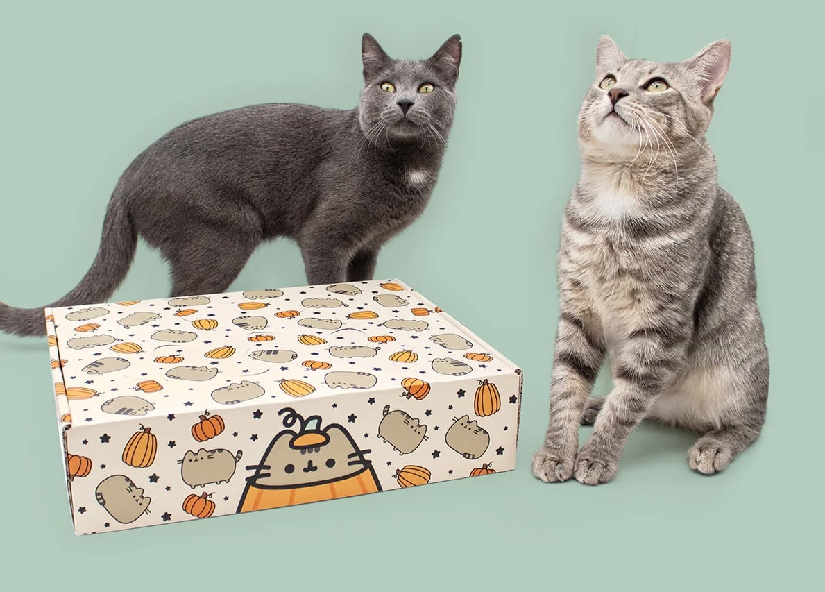 Cat Kit by Pusheen Box Fall 2025 Spoilers!