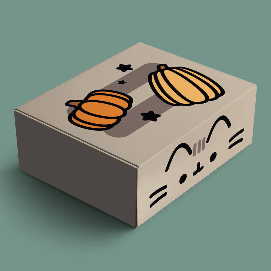 Pusheen Box Fall 2025 Full Spoilers!