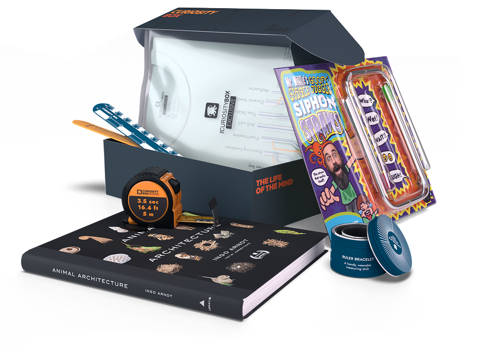 The Curiosity Box Fall 2025 Spoilers!