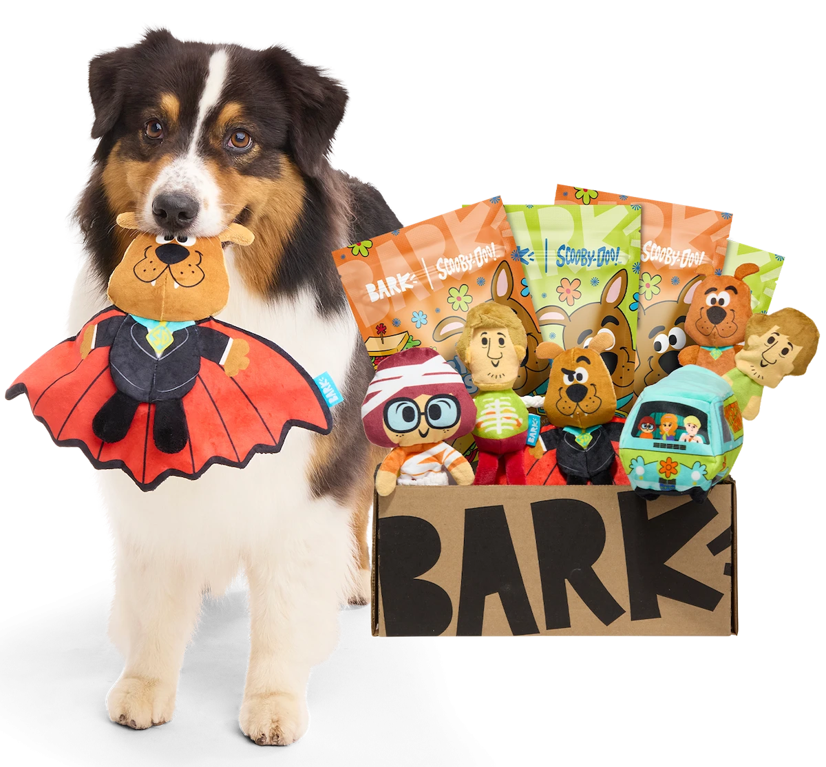 BarkBox