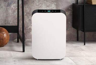 Say Hello to Alen Air Purifier – The Quiet Hero Behind a Cleaner, Healthier Home