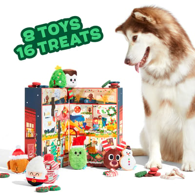BarkBox Dog Toys and Treats Advent Calendar: Season’s Treatings!