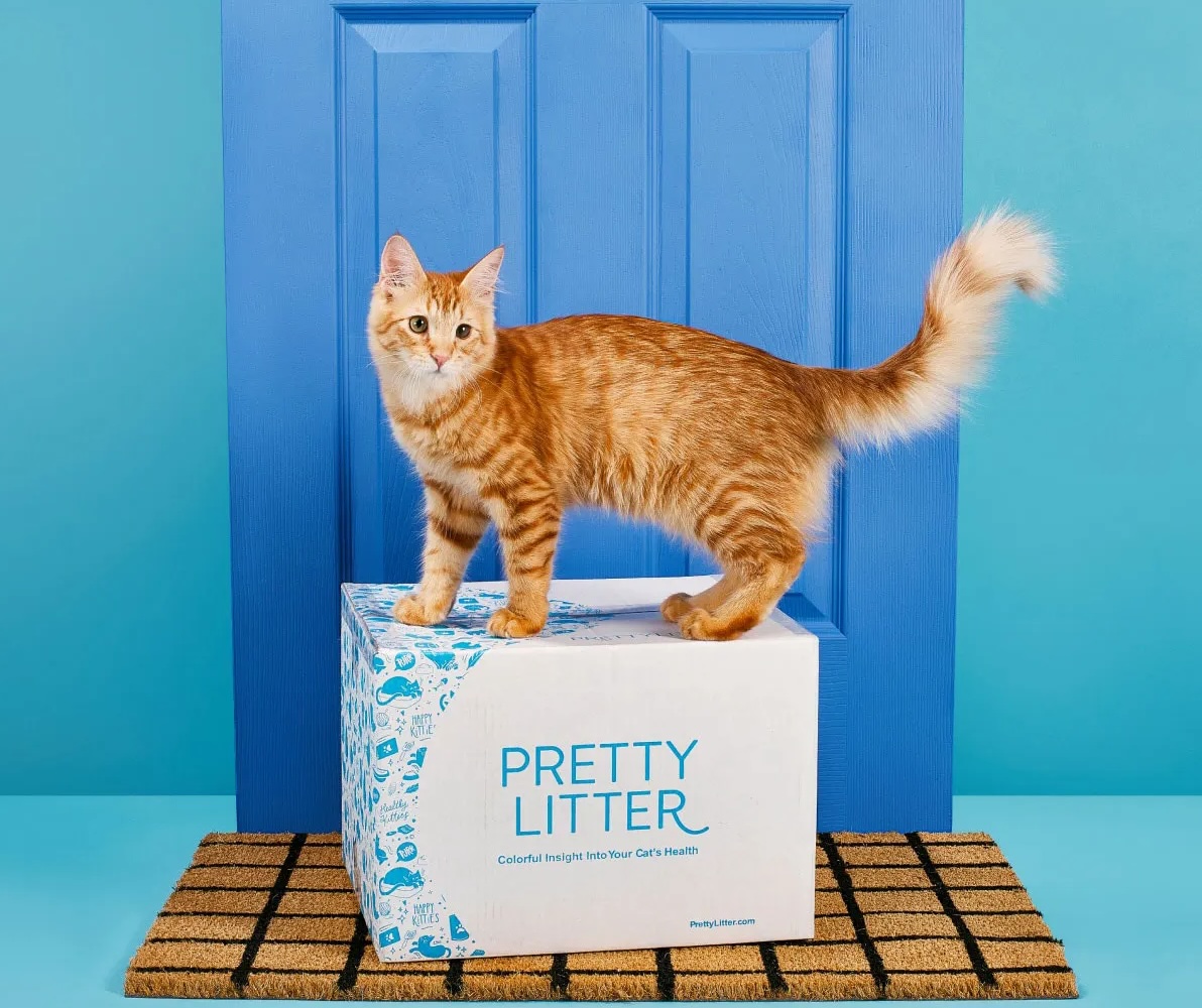 Say Hello to PrettyLitter: Revolutionizing Cat Care with Smarter Litter