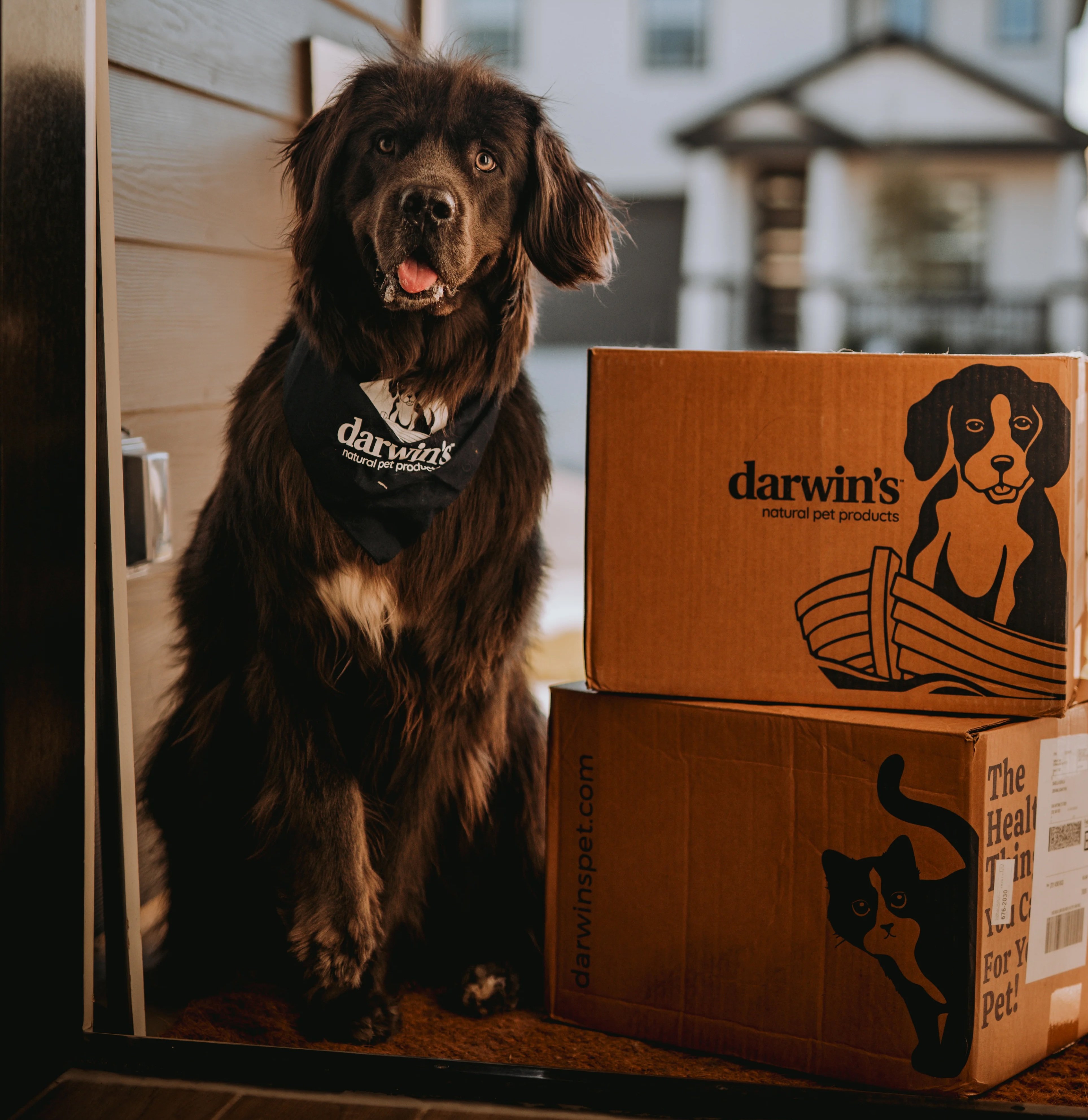 Darwin’s Coupon – 50% Off First Box of Fresh Dog and Cat Meals!