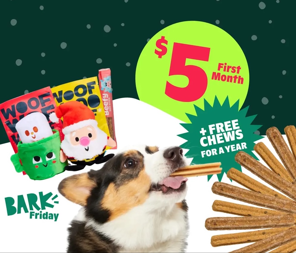 BarkBox Holiday Sale: $5 Box of Toys & Treats For Dogs!