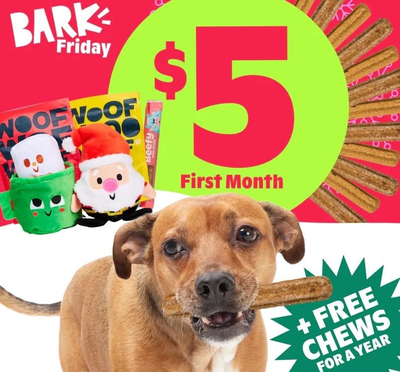 BarkBox Super Chewer Holiday Coupon: First Month of Tough Toys for Dogs For Just $5! 