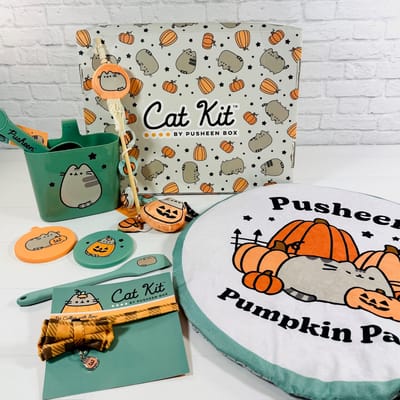Cat Kit by Pusheen Box Fall 2025 Review
