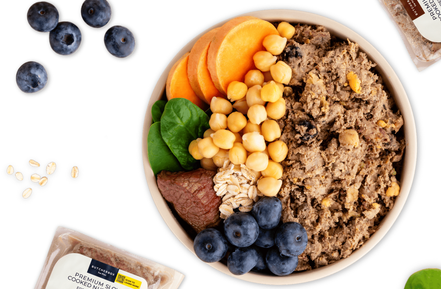 DASH Dog Food Cyber Monday Deal: 50% OFF First Box of Premium Pet Food & Treats