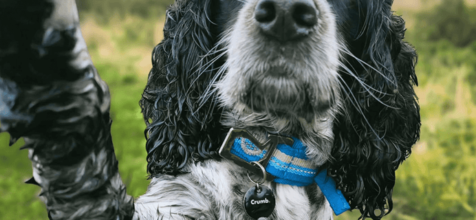 Crumb Coupon – FREE Month Crumb Premium Subscription + Pet Smart Tag!