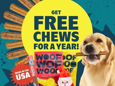 BarkBox & Super Chewer Deal – FREE Chews In Every Box FOR A YEAR!