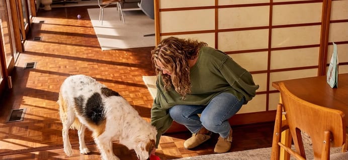 Hello Pupscription – Healthier, Happier Dogs Start With Ollie’s Fresh, Real Food