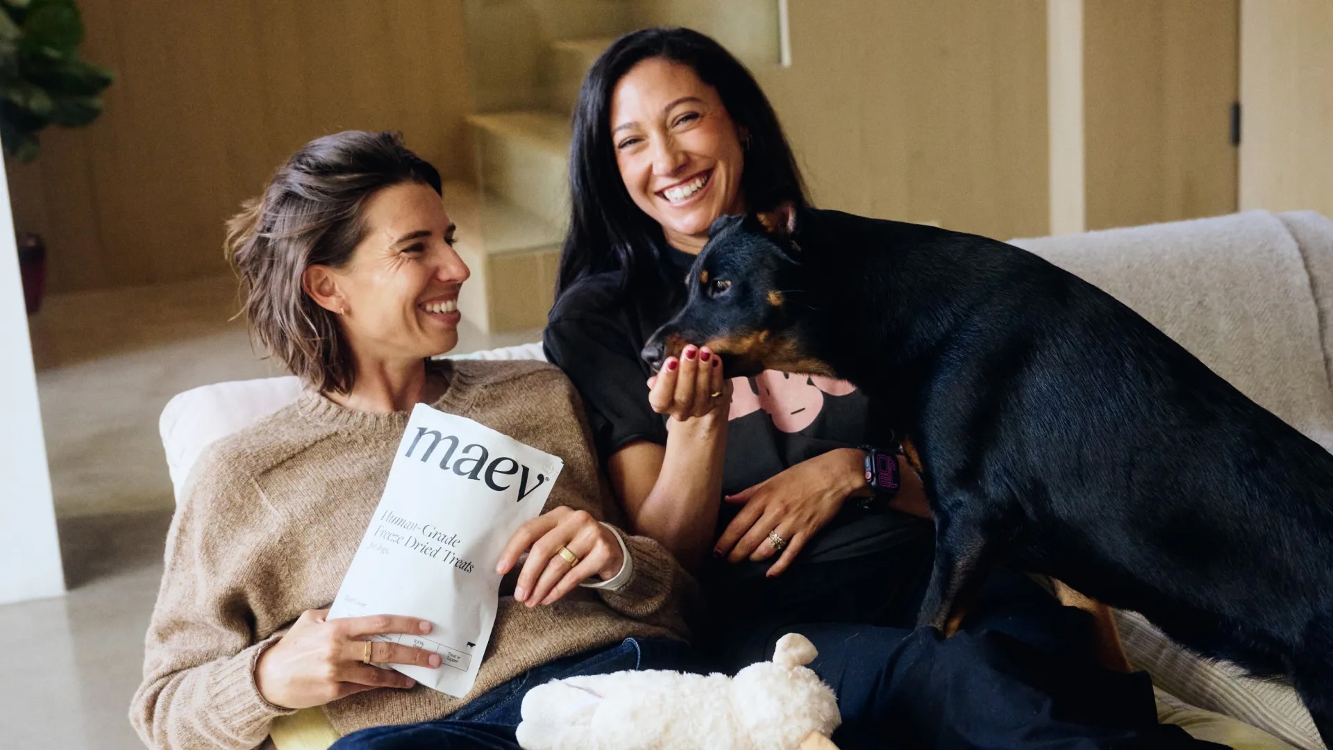 Say Hello To Maev – The Human-Grade Dog Food Brand Focused on Canine Vitality and Wellness