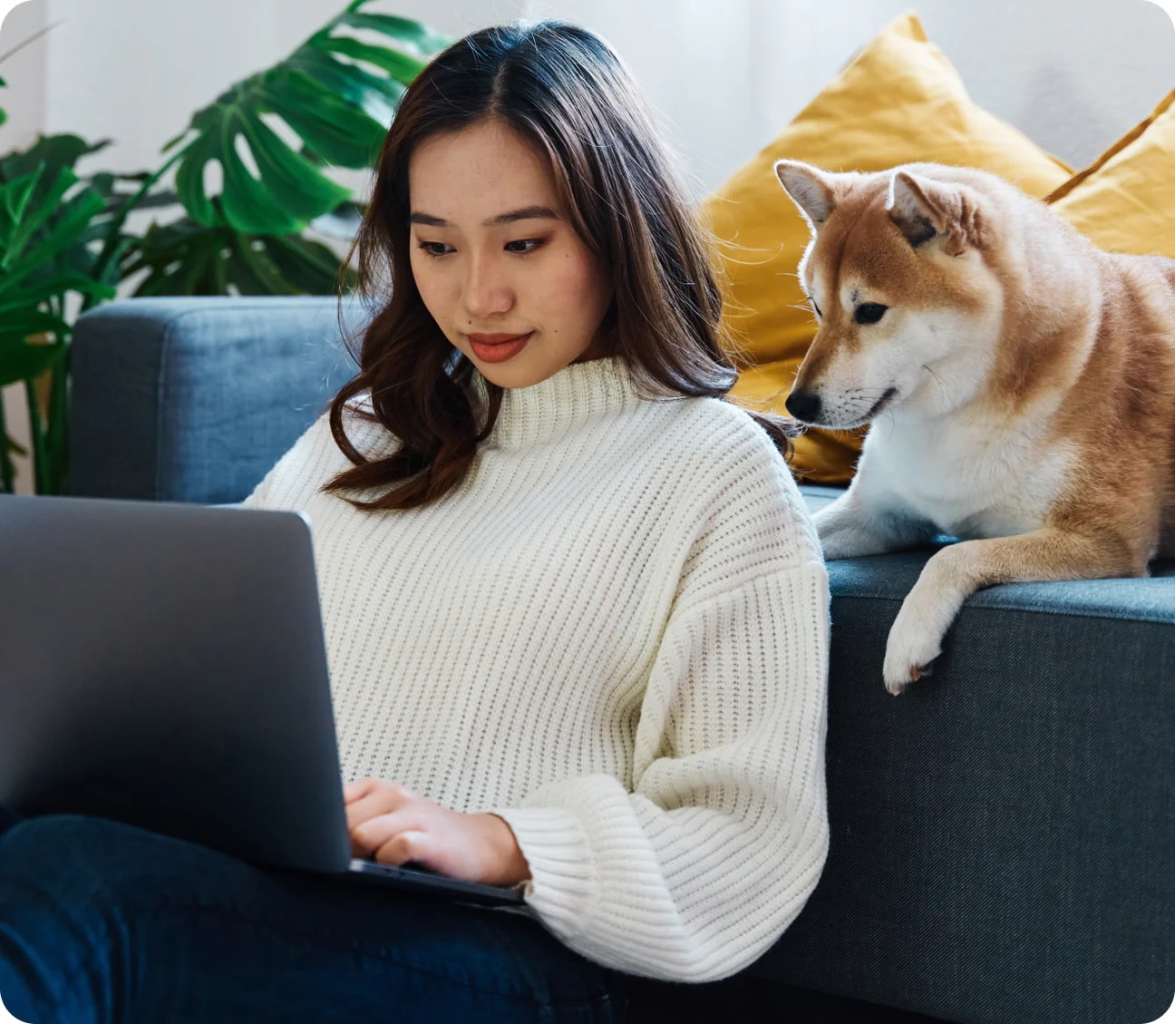 Dutch Pet Coupon – Get 32% Off Your Pet Care Plan!